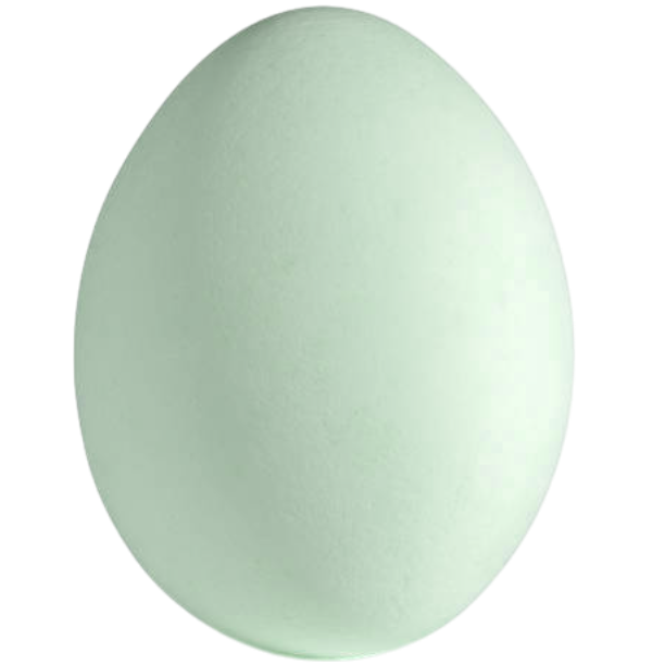 Duck Egg-Photoroom