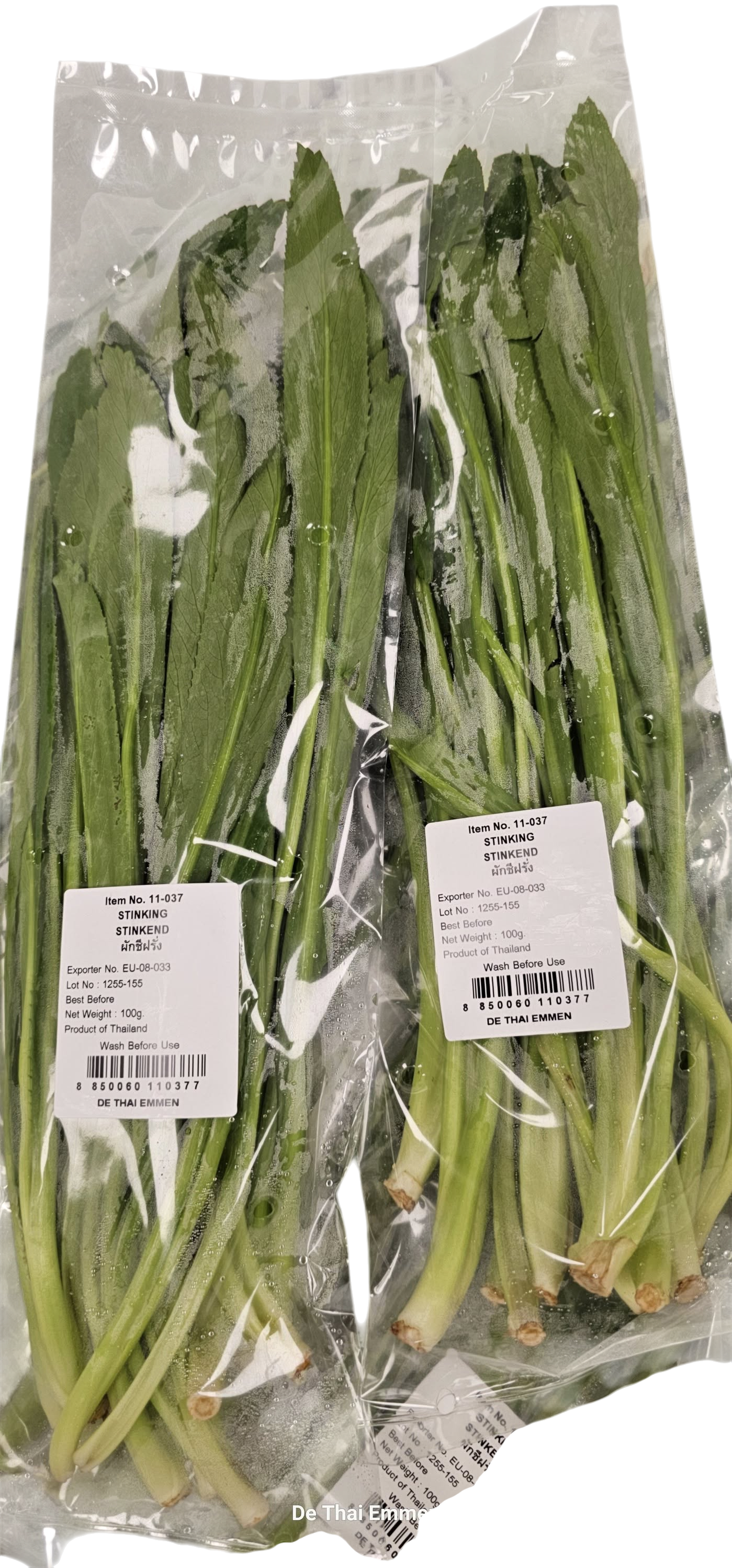 Stinking parsley leaf ผักชีใบเลื่อย_ ผักชีฝรั่ง 100g