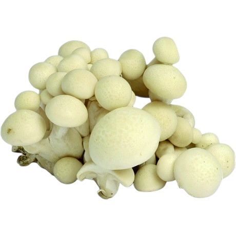 cc018f12-536c-4e6d-9497-ff7543bf316f